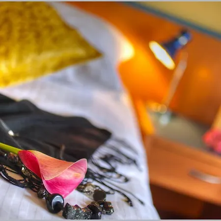 Guest house Guest Accomodation Tamaris 3*