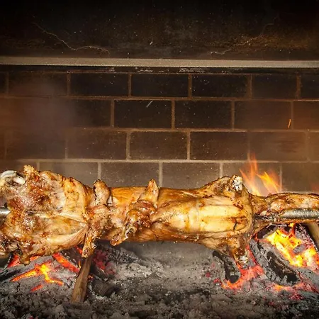 Tamaris ゲストハウス